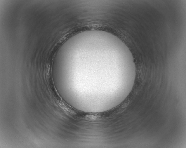 X0000078840660200611130959
