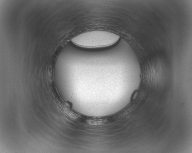 X0000078840661200611130959