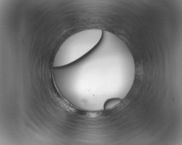 X0000078840662200611130959