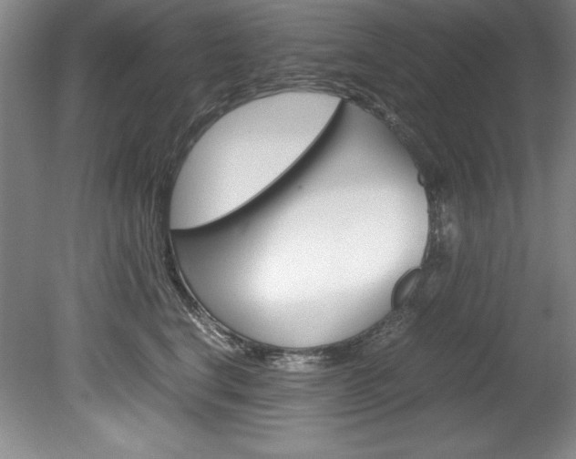 X0000078840664200611130959