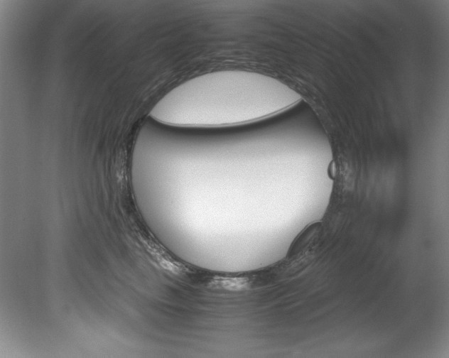 X0000078840665200611130959
