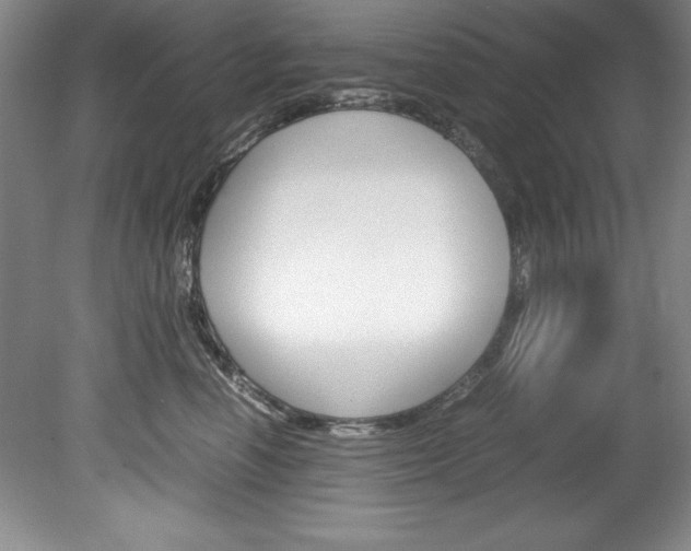 X0000078840666200611130959