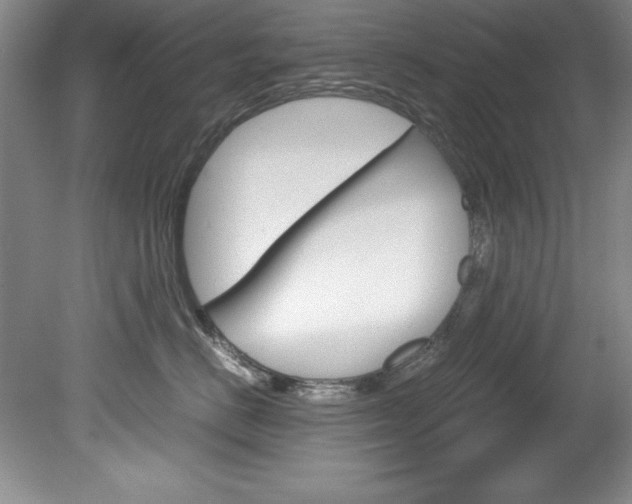 X0000078840670200611130959