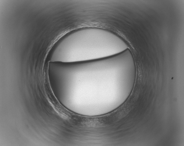 X0000078840674200611130958
