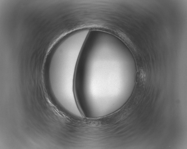 X0000078840676200611130958
