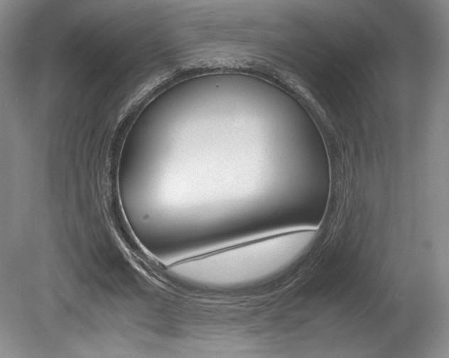 X0000078840677200611130958