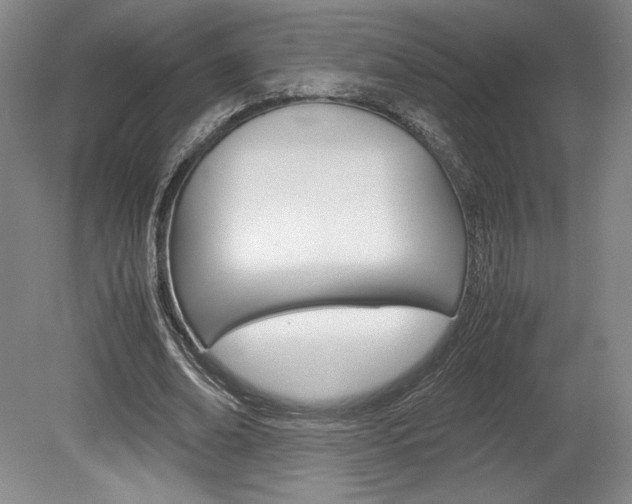 X0000078840678200611130958