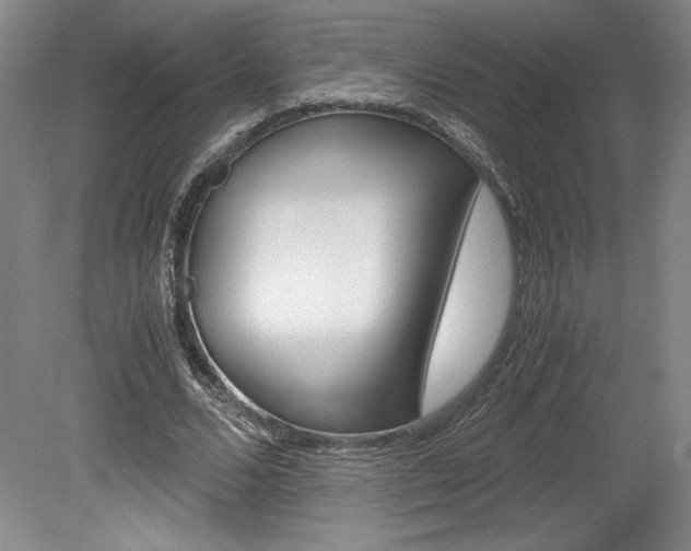 X0000078840680200611130958