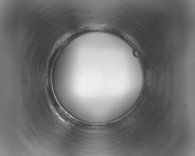 X0000078840682200611130958