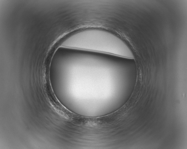 X0000078840684200611130958