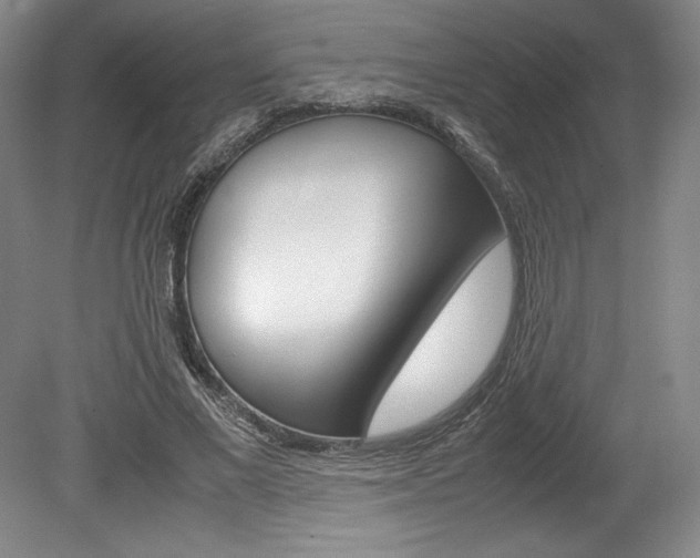 X0000078840685200611130958