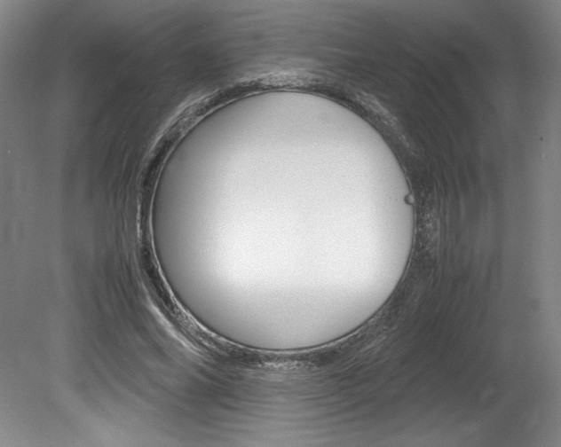 X0000078840686200611130958