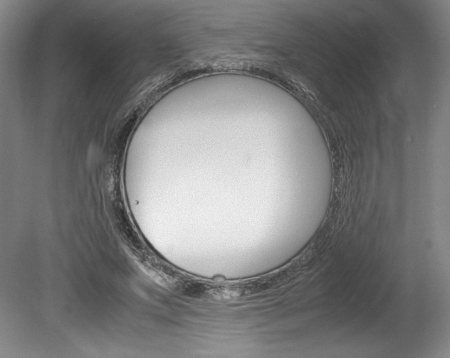 X0000078840687200611130958
