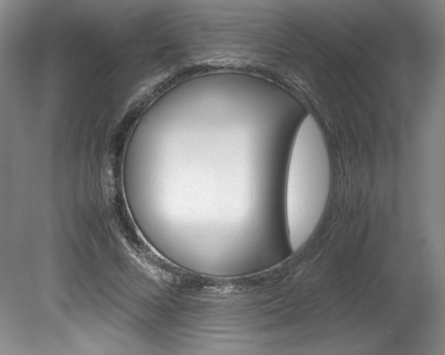 X0000078840688200611130958