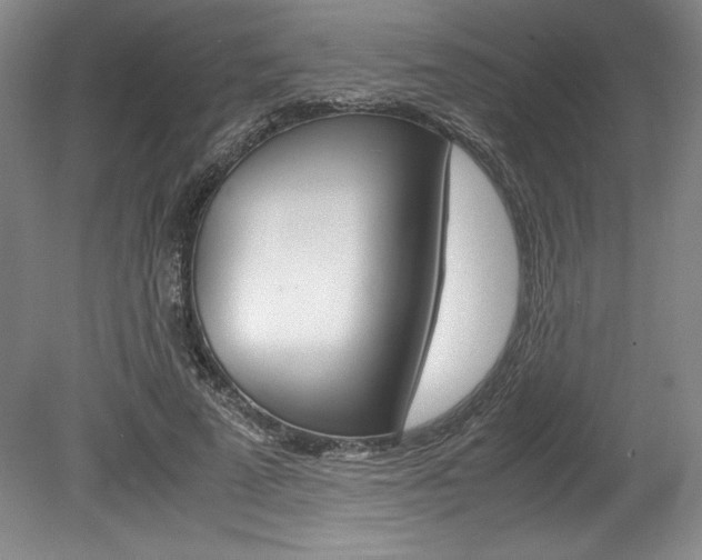 X0000078840689200611130958