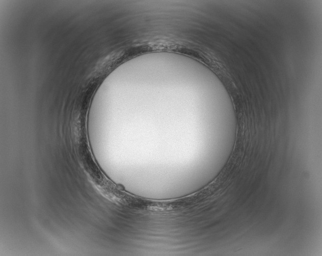 X0000078840690200611130958