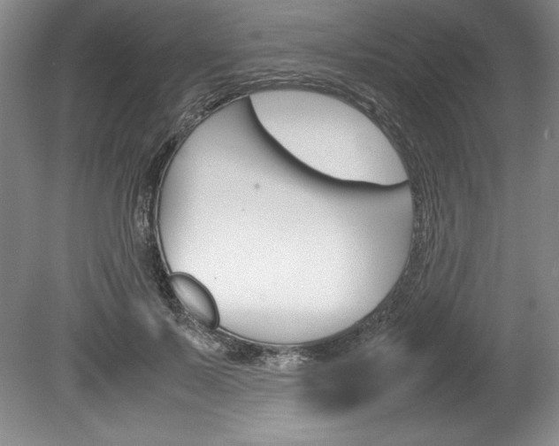 X0000078840695200611130958