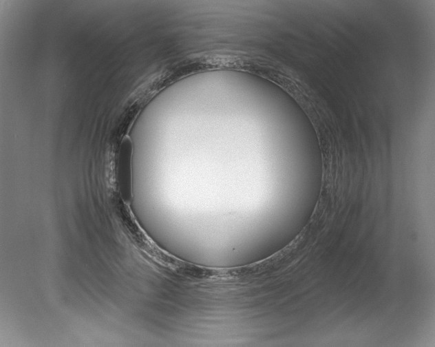 X0000078840696200611130958