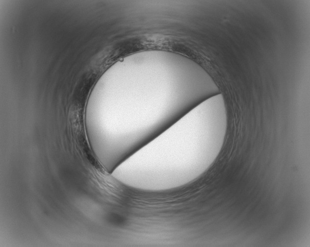 X0000078840699200611130958