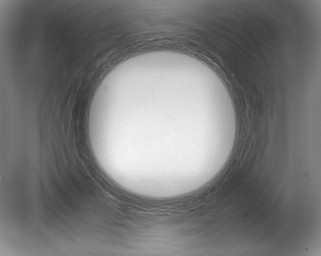 X0000078840701200611130958