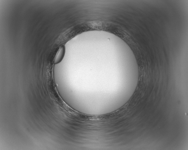 X0000078840702200611130958