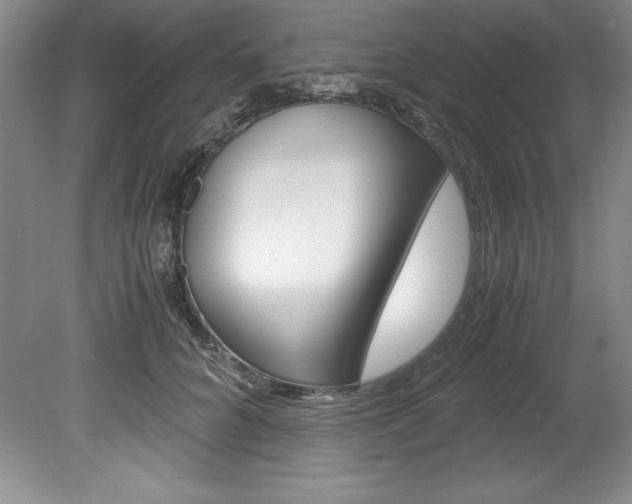 X0000078840704200611130958