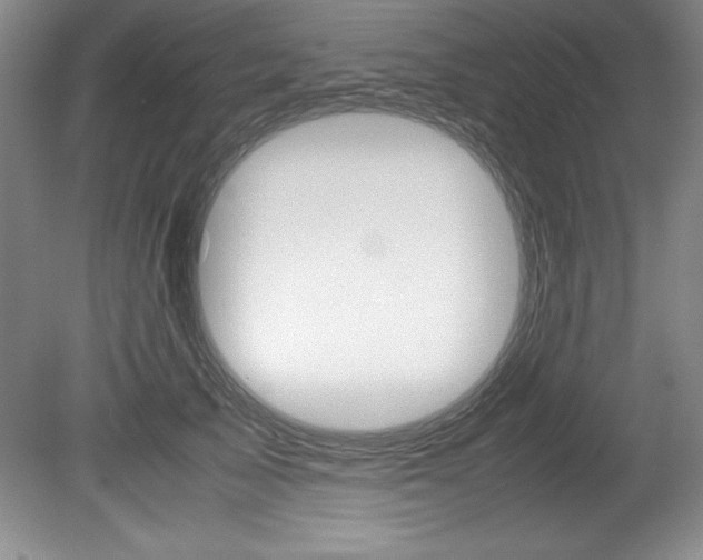 X0000078840705200611130958