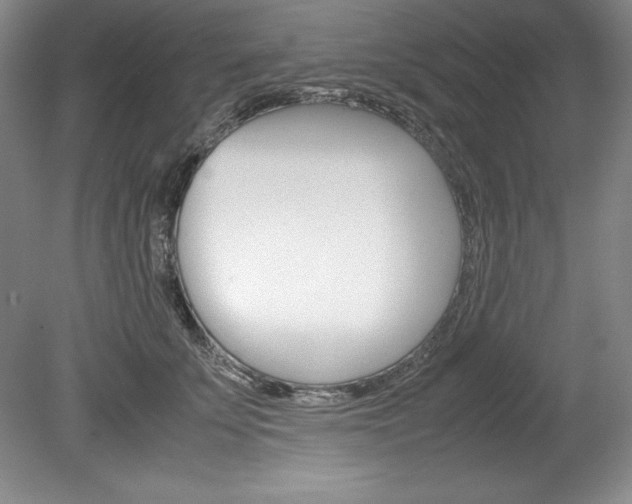 X0000078840707200611130958