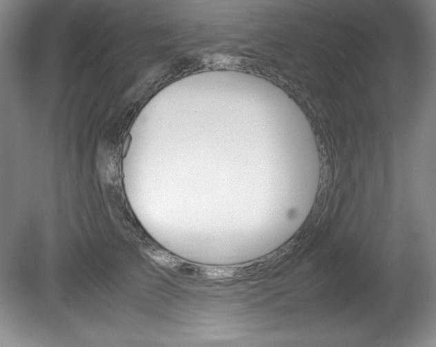 X0000078840709200611130958
