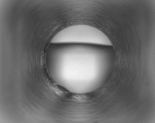 X0000078840712200611130958