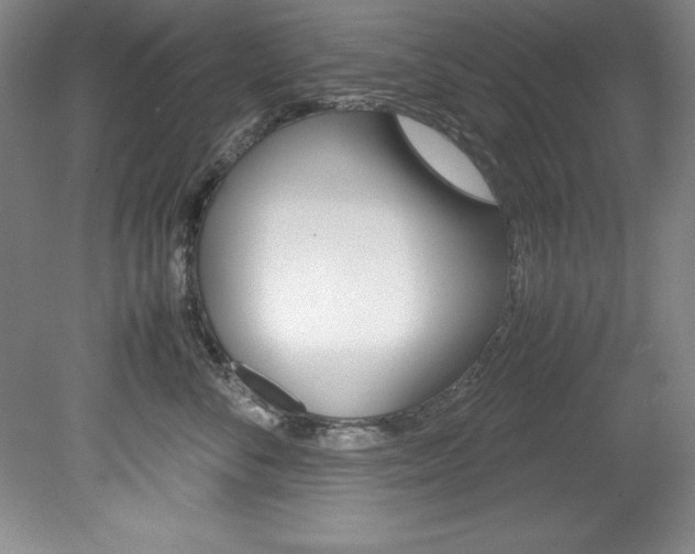 X0000078840716200611130958
