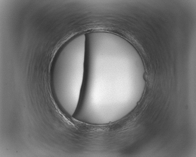 X0000078840721200611130957