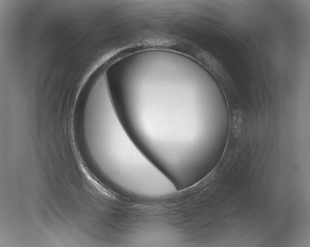 X0000078840726200611130957