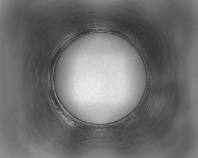 X0000078840729200611130957