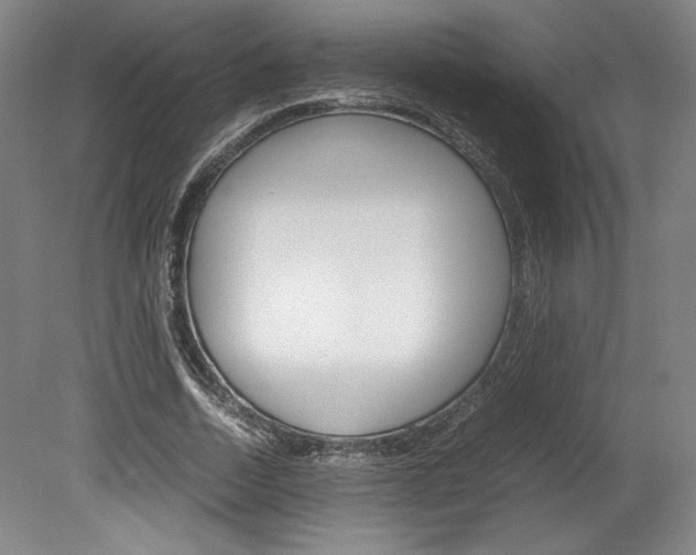 X0000078840730200611130957
