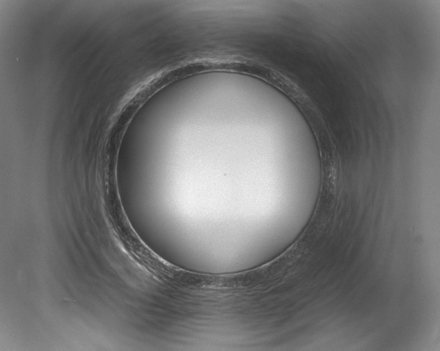 X0000078840732200611130957