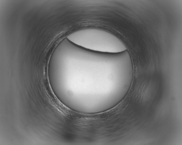 X0000078840733200611130957