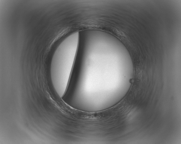 X0000078840735200611130957