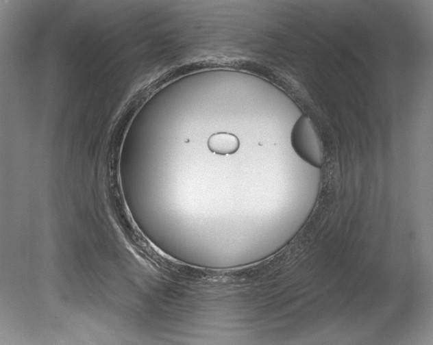 X0000078840736200611130957