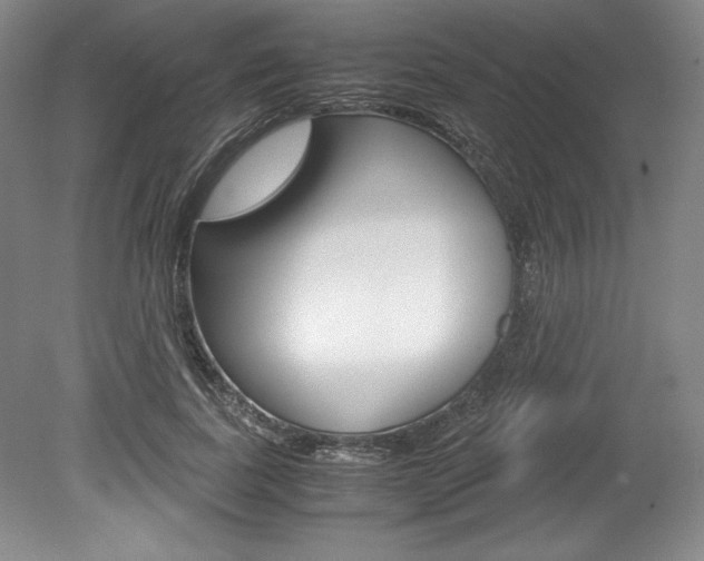 X0000078840739200611130957
