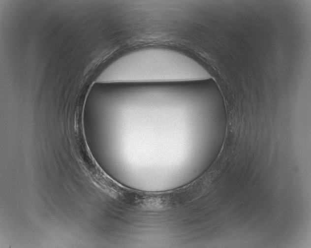 X0000078840740200611130957