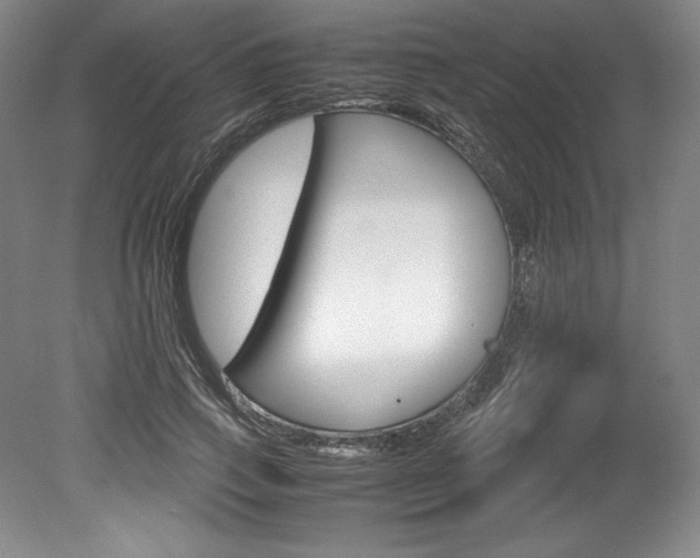 X0000078840741200611130957