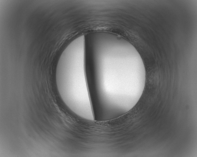 X0000078840743200611130957