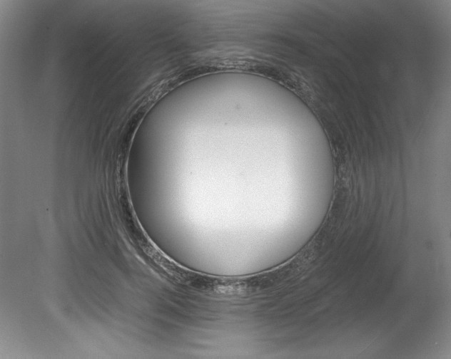 X0000078840744200611130957