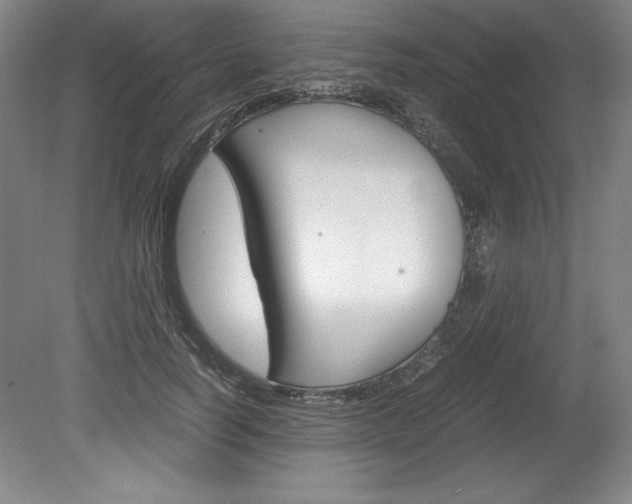 X0000078840746200611130957