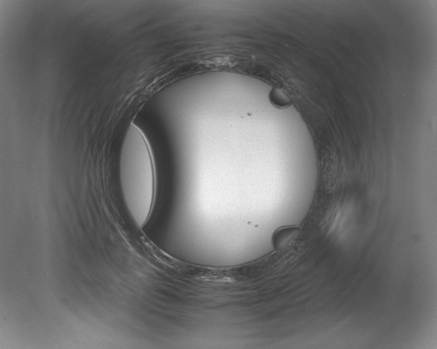 X0000078840747200611130957