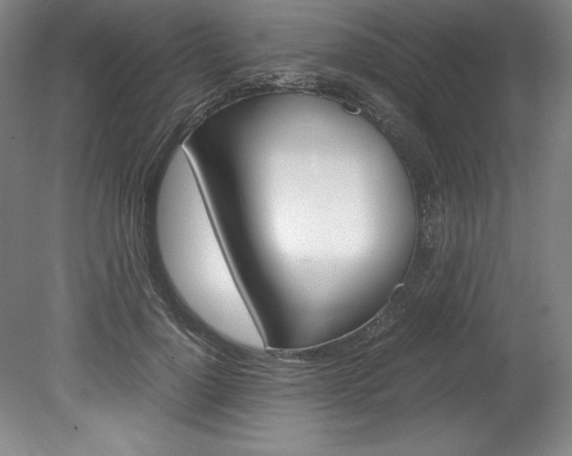 X0000078840748200611130957