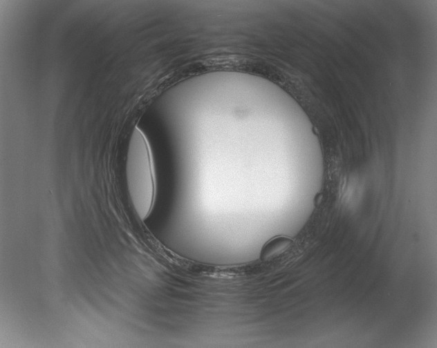 X0000078840751200611130957