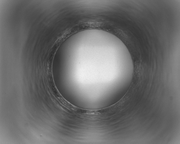 X0000078840752200611130957