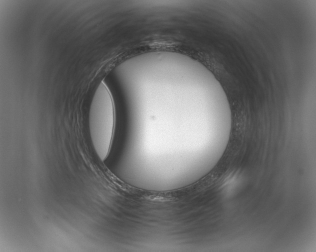 X0000078840755200611130957